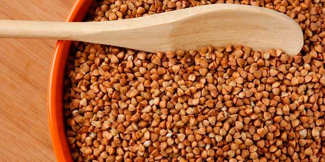 Buckwheat: What It Is, Health Benefits, Suitable for Celiacs Buckwheat: What It Is, Health Benefits, Suitable for Celiacs