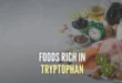 Foods with Tryptophan