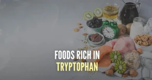 Foods with Tryptophan