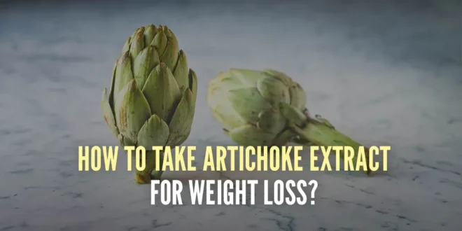 5 simple ways to take artichoke to support weight loss 5 simple ways to take artichoke to support weight loss