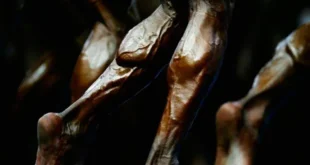 Hypertrophy: train each muscle according to its fiber type