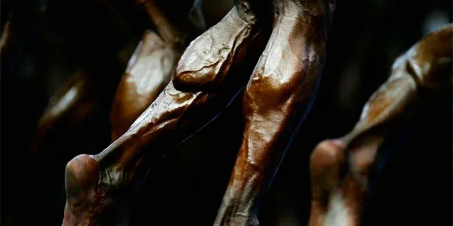 Hypertrophy: train each muscle according to its fiber type