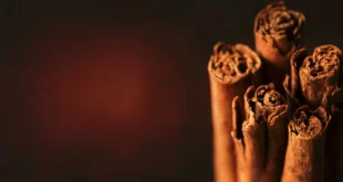 Types of Cinnamon, which one is the best?