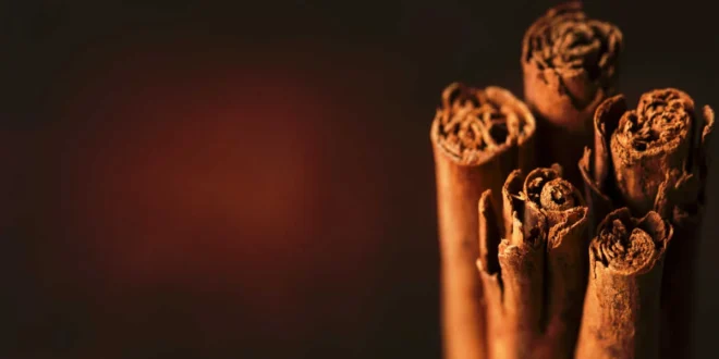 Types of Cinnamon, which one is the best?