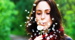 11 benefits of Dandelion, tested!