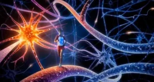 Benefits of Physical Exercise for Memory and Learning