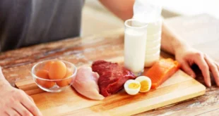 How much protein can we absorb per meal?