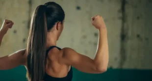 Fundamentals of the Muscular System