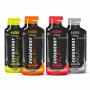 CAFFEINE EVOENERGY GEL