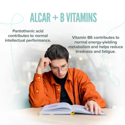 Acetyl L-Carnitine (ALCAR) 500 mg with Vitamins B5 and B6 Acetyl L-Carnitine (ALCAR) 500 mg with Vitamins B5 and B6
