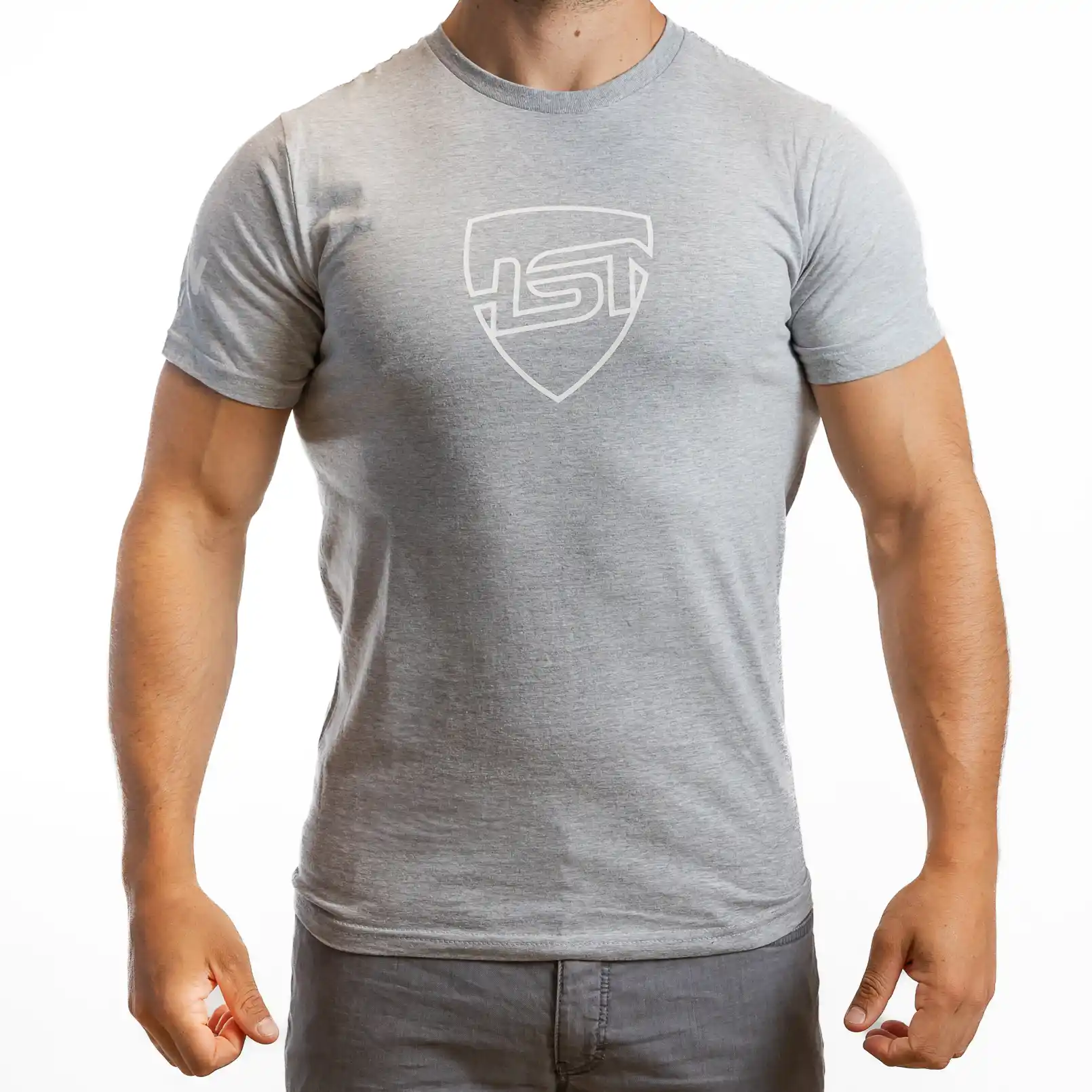 HSN COTTON T-SHIRT WE ARE NUTRITION GREY - L