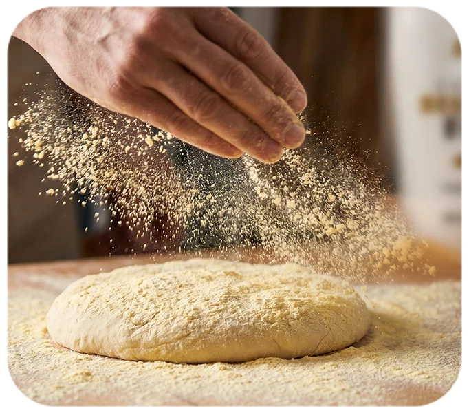 Food preparations with 100% pure ingredients Food preparations with 100% pure ingredients