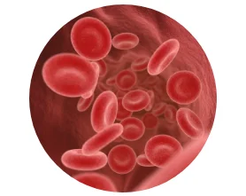 Cell division Cell division