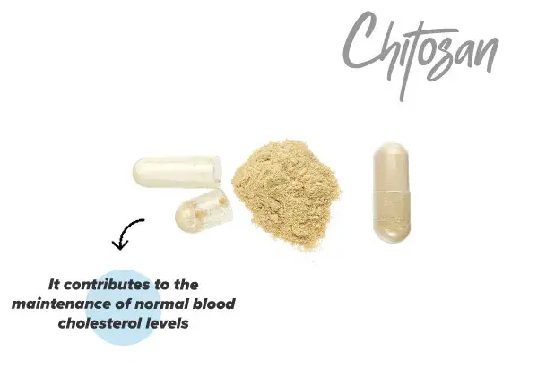 Effects of chitosan on the body