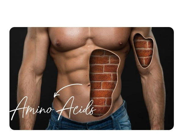 amino acids amino acids