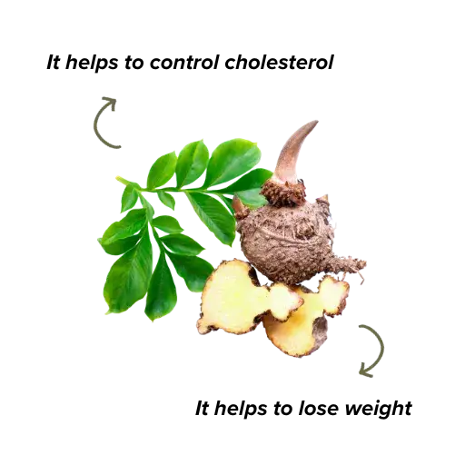 glucomannan properties