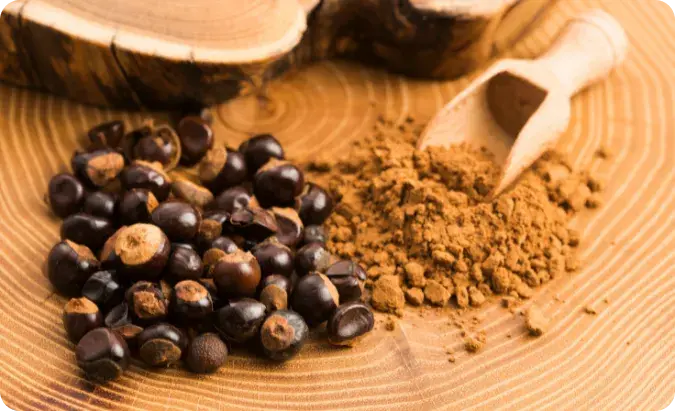 guarana extract guarana extract