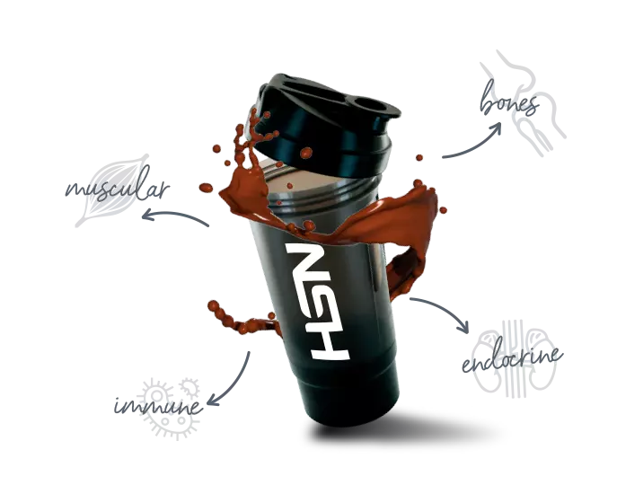 How whey protein works