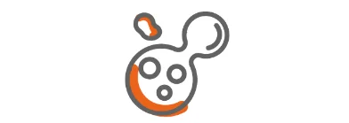 involved in the process of cell division involved in the process of cell division