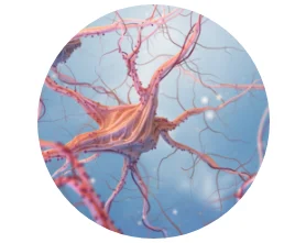 neurological and psychological function neurological and psychological function