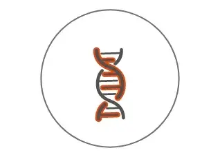 protecting-DNA