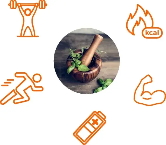 Role of naturals anabolics Role of naturals anabolics