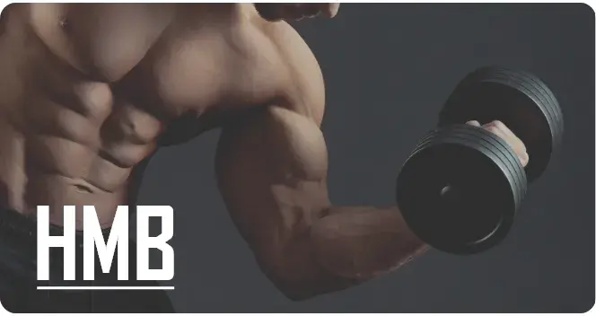 What is hmb used What is hmb used